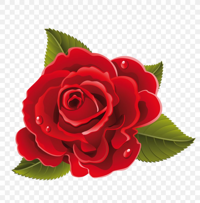 Rose Flower Drawing Red, PNG, 859x872px, Rose, Animation, Color, Cut Flowers,  Drawing Download Free