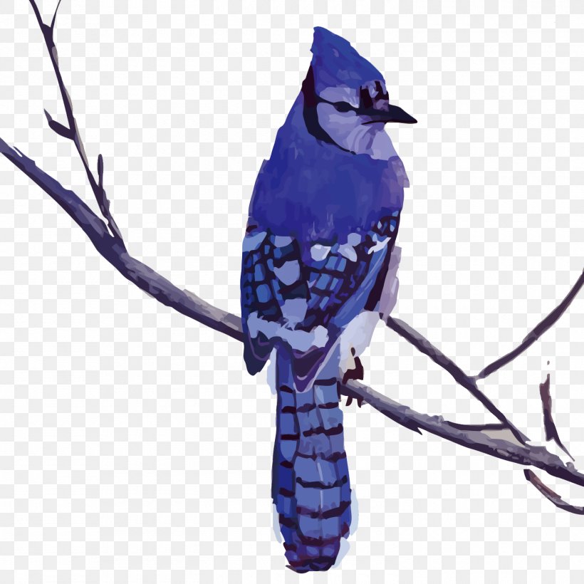 Bird Blue Jay Drawing Painting Art, PNG, 1500x1500px, Bird, Art, Artist, Beak, Blue Jay Download Free