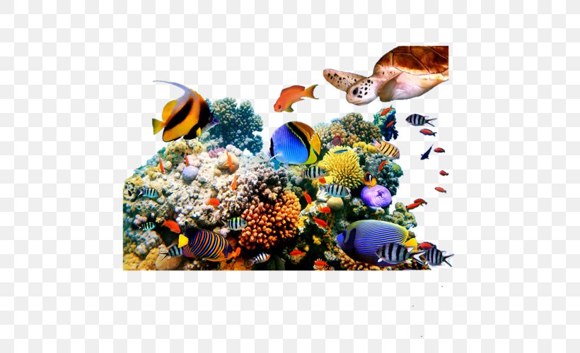 Coral Reef Painting Mural Marine Life, PNG, 500x500px, Reef, Art, Coral, Coral Reef, Coral Reef Fish Download Free
