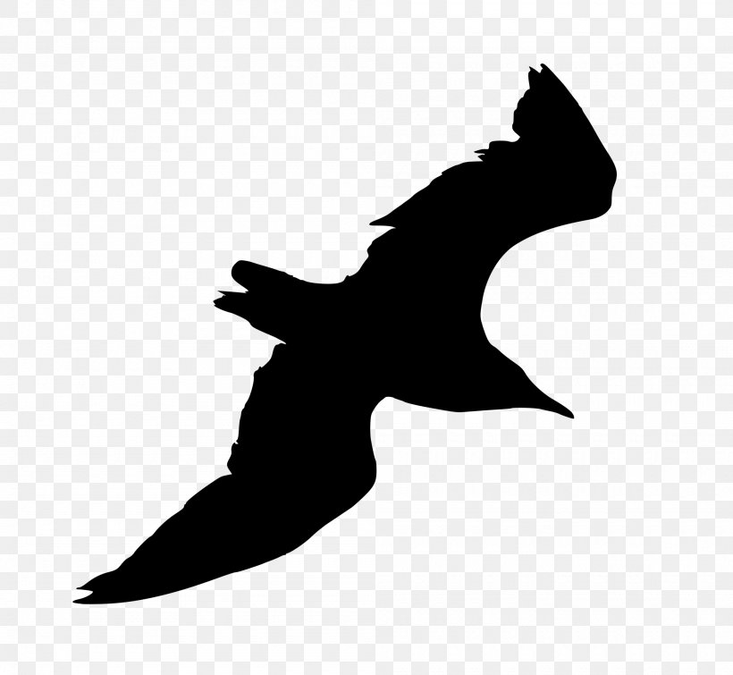 Ivory Gulls Silhouette, PNG, 2000x1842px, Bird, Animal, Beak, Black And White, Common Gull Download Free