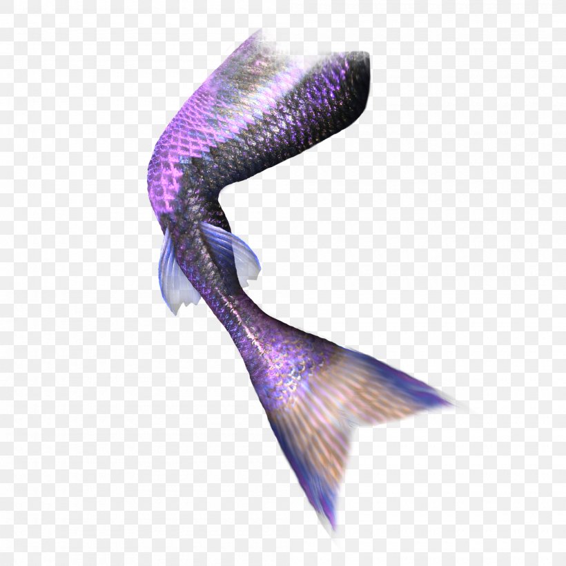 Mermaid Tail Computer File, PNG, 2000x2000px, Mermaid, Computer Software, Coreldraw, Fundal, Pattern Download Free
