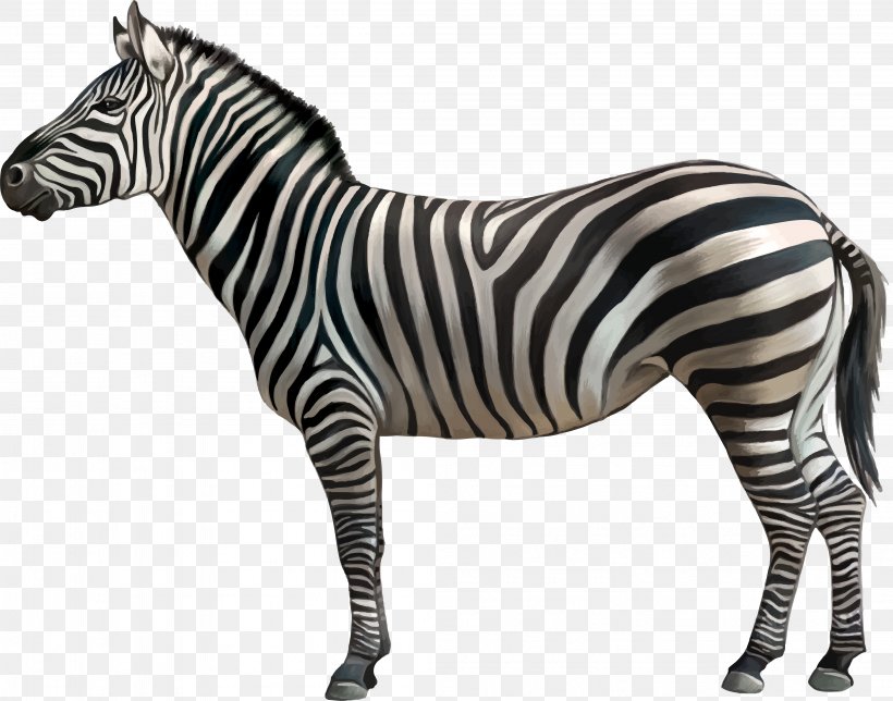 Quagga Zebra Clip Art, PNG, 4199x3301px, Quagga, Animal Figure, Black And White, Horse Like Mammal, Mammal Download Free