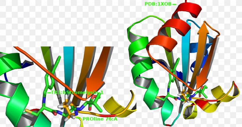 Thioredoxin Enzyme Glycolysis Antioxidant, PNG, 1130x593px, Thioredoxin, Antioxidant, Art, Catalase, Catalysis Download Free