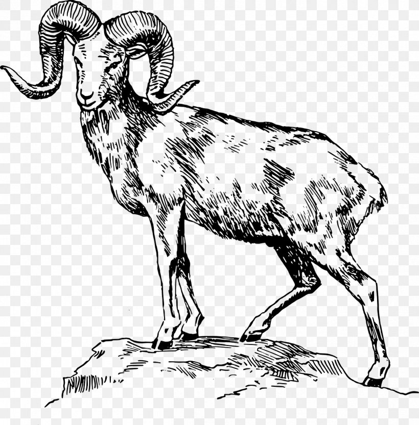 Bighorn Sheep Ram Trucks Animal Illustrations Drawing, PNG, 1259x1280px, Sheep, Animal Illustrations, Argali, Bighorn Sheep, Black And White Download Free