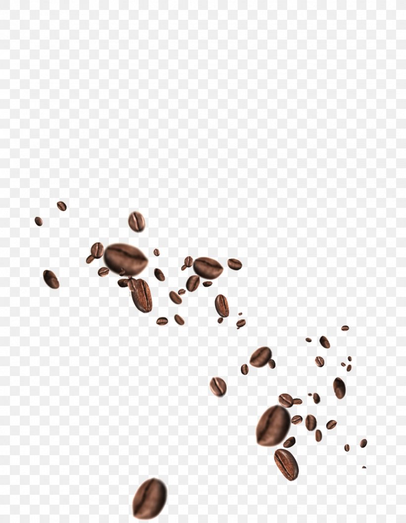 Espresso Coffee Bean Tea Tamper, PNG, 1024x1320px, Espresso, Bean, Brewed Coffee, Coffee, Coffee Bean Download Free