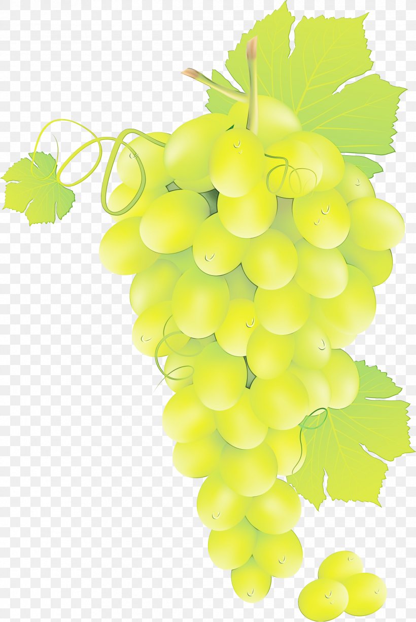 Green Leaf Background, PNG, 2384x3570px, Sultana, Common Grape Vine, Extract, Flower, Food Download Free