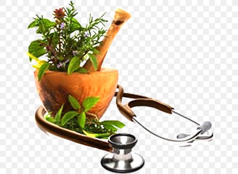 Herbalism Medicine Health Green Acupuncture, PNG, 655x600px, Herb, Common Nettle, Dry Eye Syndrome, Food, Fruit Download Free