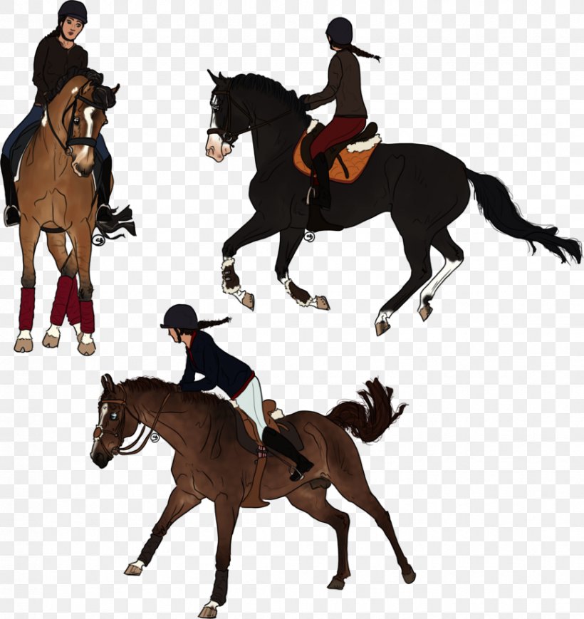 Horse Drawing Hunt Seat Digital Art, PNG, 868x920px, Horse, Animal Sports, Art, Bridle, Deviantart Download Free
