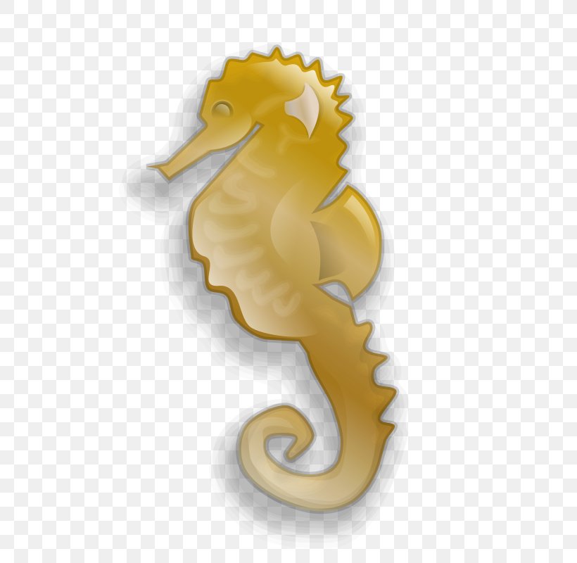 Seahorse Sheldon Clip Art, PNG, 800x800px, Seahorse, Body Jewelry, Drawing, Fish, Organism Download Free
