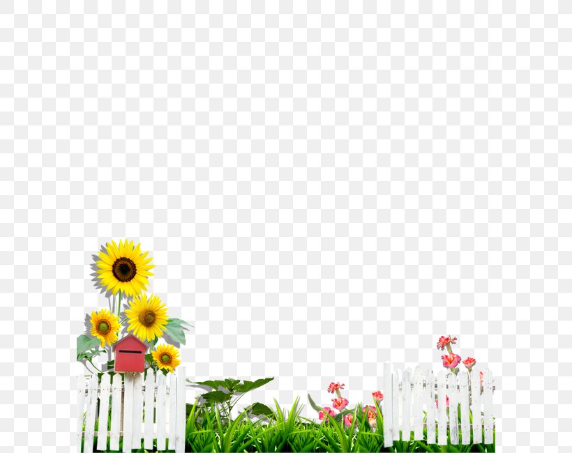 Garden Fence Download Wallpaper, PNG, 600x650px, Garden, Common Sunflower, Fence, Flora, Floral Design Download Free