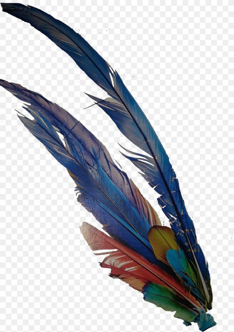 Macaw Cobalt Blue Feather Beak Wing, PNG, 889x1263px, Macaw, Beak, Bird, Blue, Cobalt Download Free