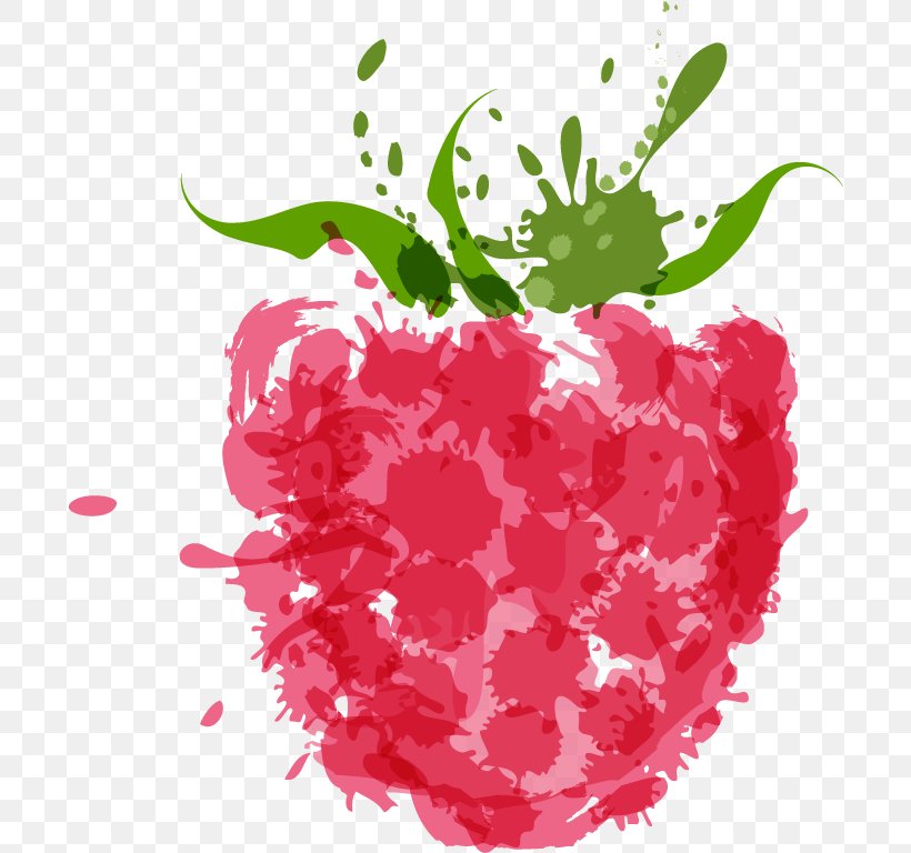 Raspberry Royalty-free Illustration, PNG, 698x768px, Raspberry, Berry, Flower, Food, Fruit Download Free