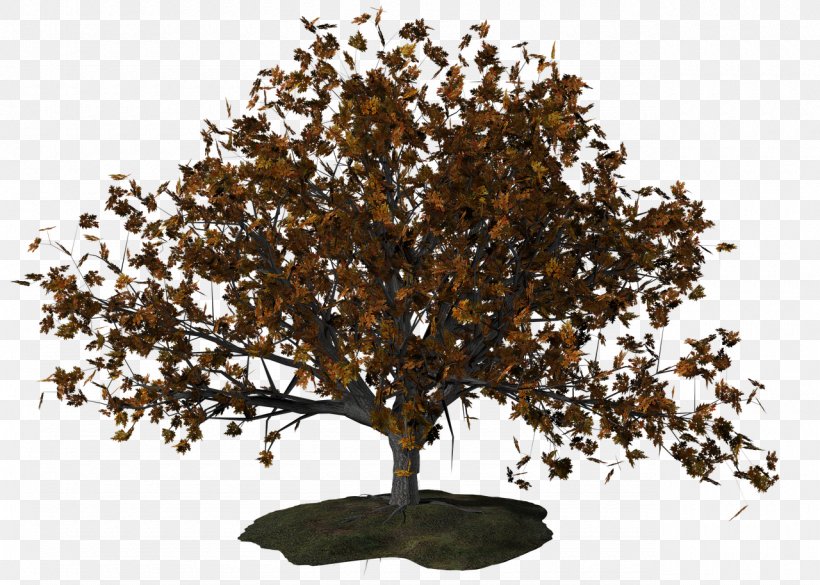 Tree Download Clip Art, PNG, 1280x914px, Tree, Autumn, Branch, Document, Graphics Software Download Free