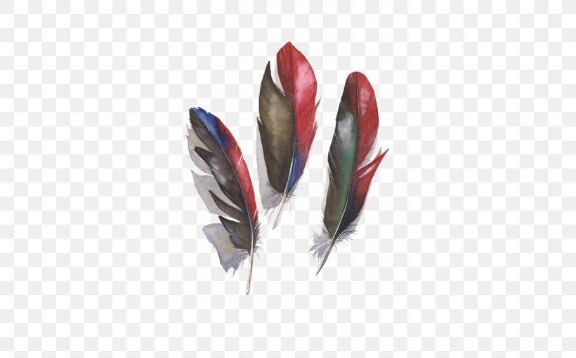 Amazon Parrot Bird Feather, PNG, 510x510px, Parrot, Amazon Parrot, Bird, Color, Drawing Download Free