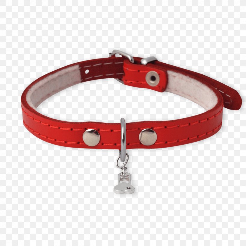 Bracelet Dog Collar, PNG, 1240x1240px, Bracelet, Collar, Dog, Dog Collar, Fashion Accessory Download Free