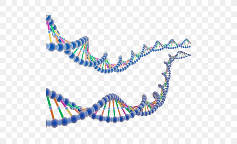ENCODE DNA Molecular Biology Nucleic Acid Double Helix Research, PNG, 500x500px, Encode, Area, Blue, Cloning, Dna Download Free
