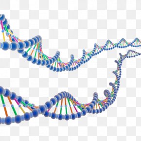 DNA Messenger RNA Nucleic Acid Double Helix Terahertz Radiation, PNG ...