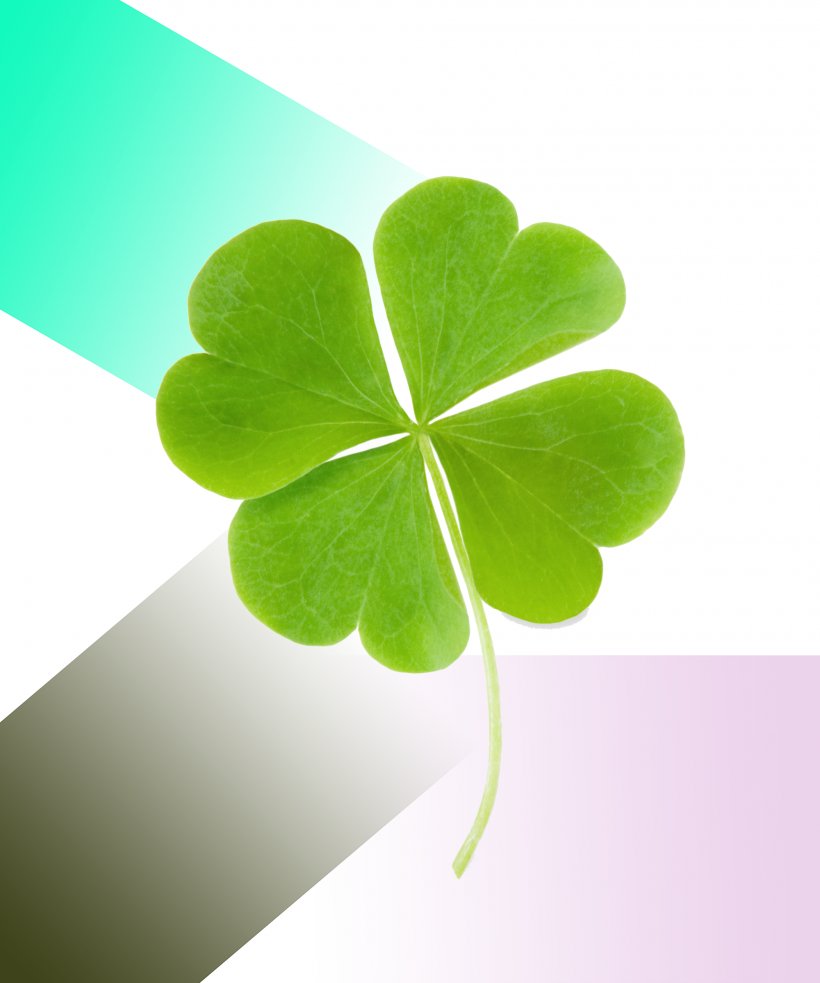 Four-leaf Clover Luck Symbol, PNG, 2000x2400px, Fourleaf Clover, Amulet, Clover, Definition, Folklore Download Free