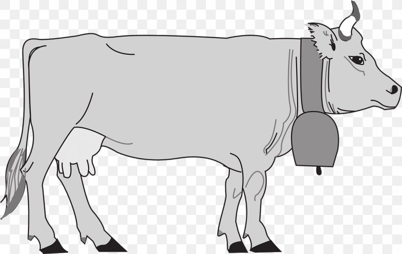 Murray Grey Cattle Hungarian Grey Dairy Cattle Clip Art, PNG, 1280x813px, Murray Grey Cattle, Animal Figure, Artwork, Black And White, Bull Download Free
