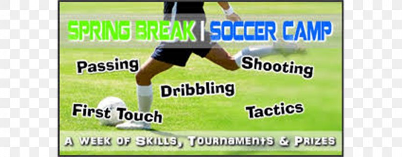 Sports Advertising Grasses Football Photograph, PNG, 960x375px, Sports, Advertising, Area, Ball, Brand Download Free