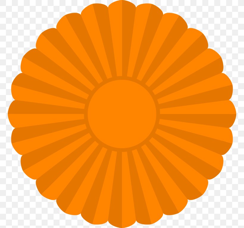 Symmetry, PNG, 768x768px, Symmetry, Flower, Orange, Petal, Sunflower Download Free
