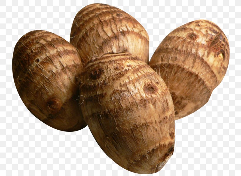 Taro Poi Tuber Vegetable, PNG, 800x600px, Taro, Clam, Clams Oysters Mussels And Scallops, Cockle, Corm Download Free