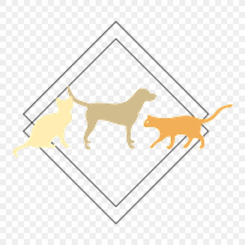 Dog And Cat, PNG, 1920x1920px, Dog, Animal, Cat, Dog Biscuit, Dog Grooming Download Free