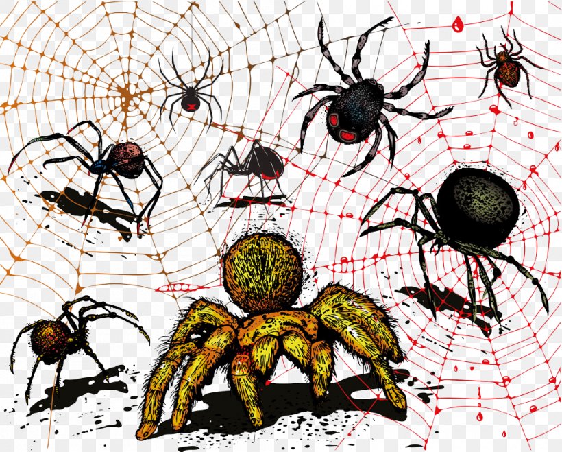 Spider Web Illustration, PNG, 1000x804px, Spider, Animal, Arachnid, Art, Arthropod Download Free