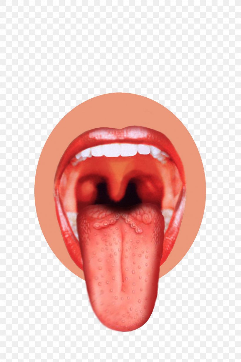 Tongue Sense Sensory Nervous System Taste Bud Human Mouth, PNG, 2362x3543px, Watercolor, Cartoon, Flower, Frame, Heart Download Free