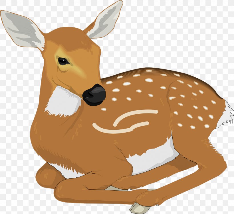 White-tailed Deer Clip Art, PNG, 1280x1170px, Deer, Drawing, Fauna, Fawn, Kangaroo Download Free