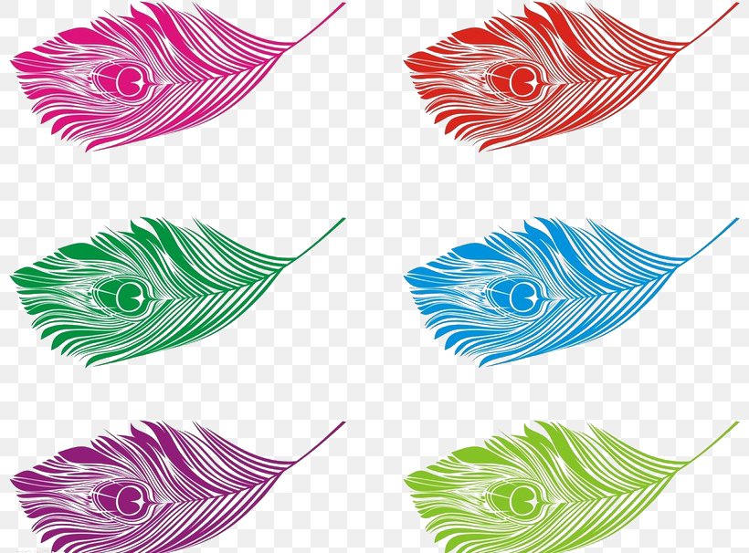 Bird Feather Peafowl Euclidean Vector, PNG, 800x606px, Bird, Asiatic Peafowl, Color, Feather, Flower Download Free