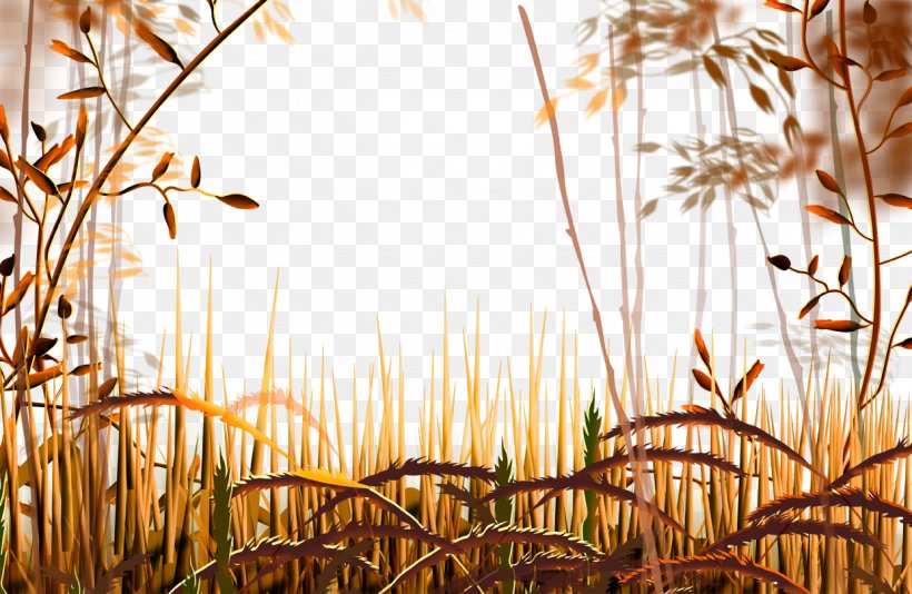 Cartoon Autumn Landscape Dry Yellow Grass, PNG, 1242x810px, Landscape, Autumn, Branch, Cartoon, Commodity Download Free