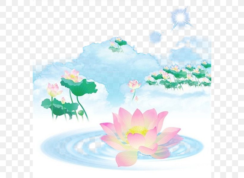 China Falun Gong Nelumbo Nucifera Wallpaper, PNG, 600x600px, China, Aquatic Plant, Desktop Environment, Falun Gong, Flower Download Free