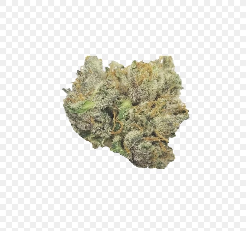 Gorilla Glue Cannabis Sativa Tetrahydrocannabinol Cannabis Shop, PNG, 768x771px, Gorilla Glue, Adhesive, Canada, Cannabis, Cannabis Sativa Download Free