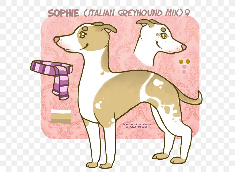 Italian Greyhound Whippet Spanish Greyhound Dog Breed, PNG, 640x600px, Italian Greyhound, Breed, Carnivoran, Cartoon, Dog Download Free