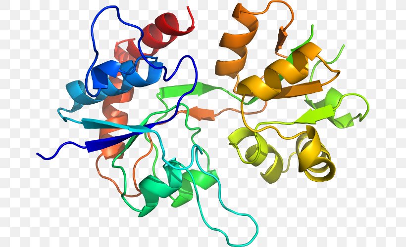 Pepsin Molecule Enzyme Protein Digestion, PNG, 673x500px, Pepsin, Artwork, Composto Molecular, Digestion, Enzyme Download Free