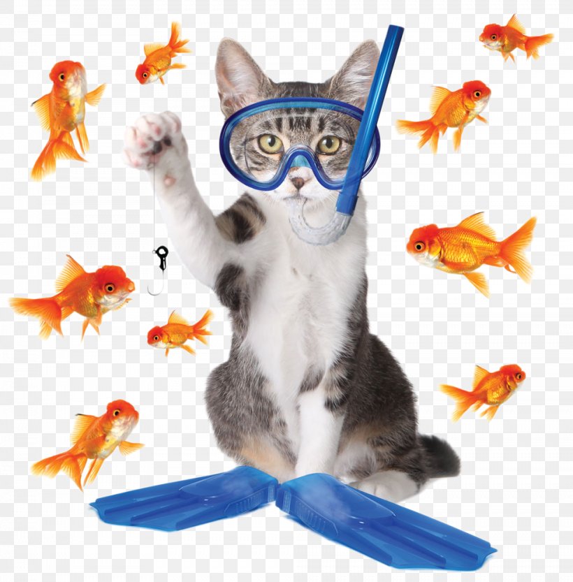 Tabby Cat Kitten Phishing Fishing, PNG, 984x1000px, Cat, American Wirehair, Carnivoran, Cat Like Mammal, Domestic Short Haired Cat Download Free
