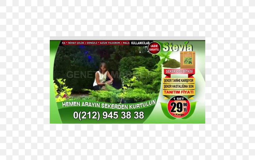 Candyleaf Stevia Dietary Supplement Plant Health, PNG, 500x515px, Candyleaf, Advertising, Brand, Capelli, Dietary Supplement Download Free