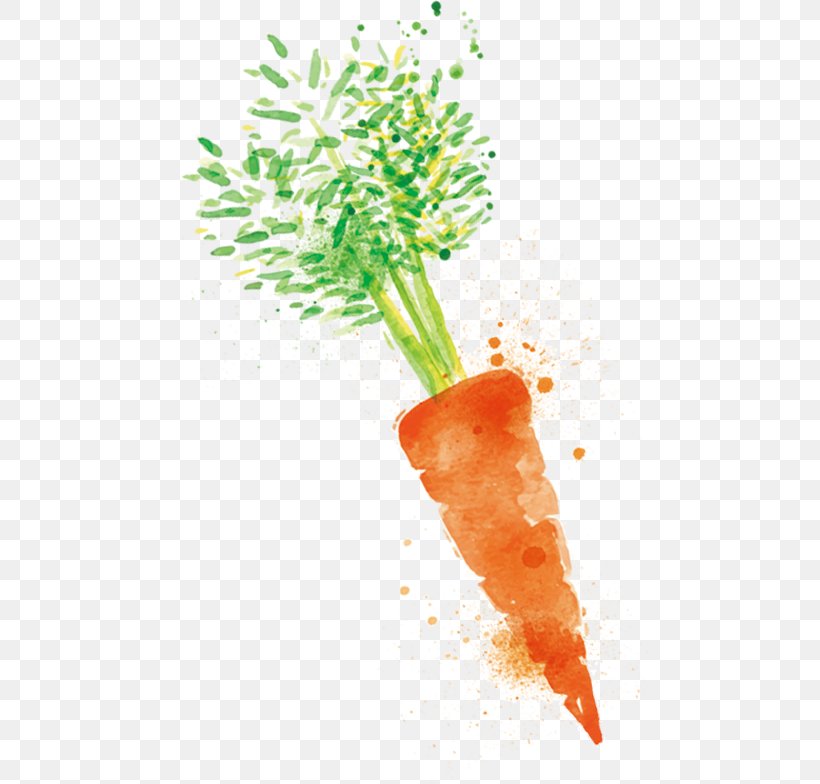 Carrot Turnip Cake Radish Vegetable, PNG, 500x784px, Carrot, Cuisine, Daucus Carota, Food, Hand Download Free