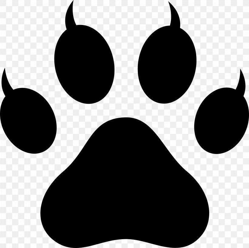 Dog And Cat, PNG, 4077x4055px, Cat, Animal Track, Black, Blackandwhite, Claw Download Free