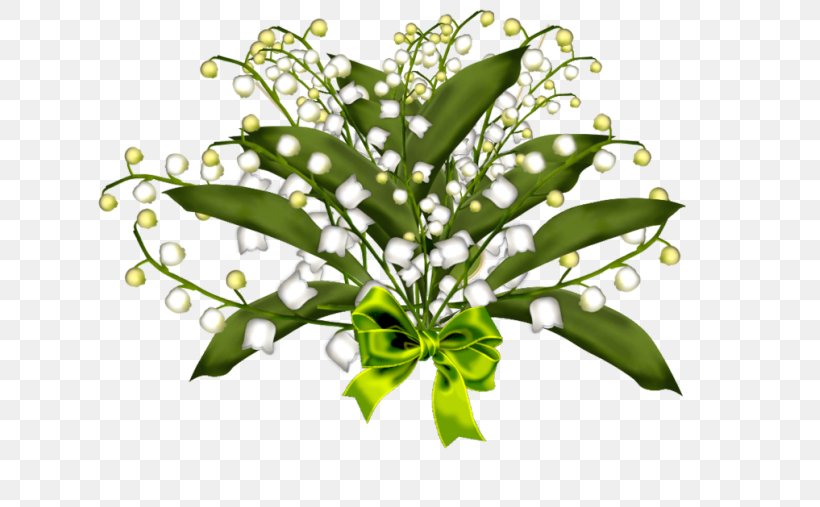Lily Of The Valley Flower 1 May Plant Stem, PNG, 645x507px, Lily Of The Valley, Animaatio, Branch, Cut Flowers, Flower Download Free