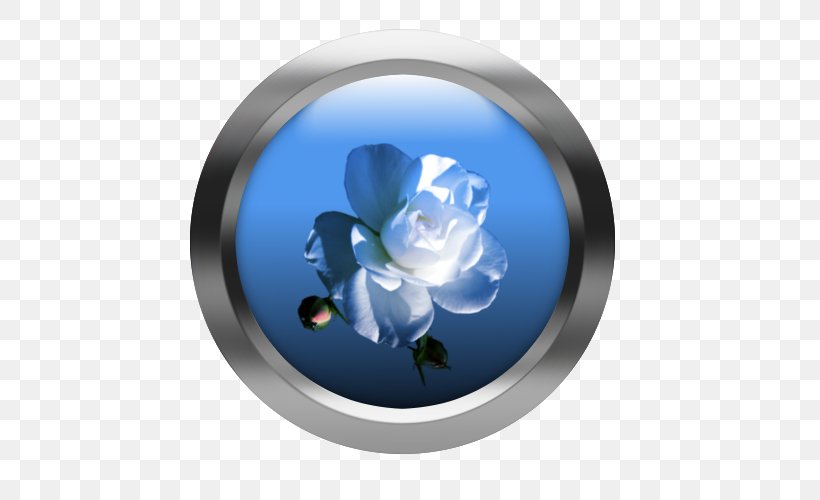Rose Family Cobalt Blue Petal Flower, PNG, 500x500px, Rose Family, Cobalt Blue, Cobaltblue Sp Z Oo Sp K, Flower, Petal Download Free