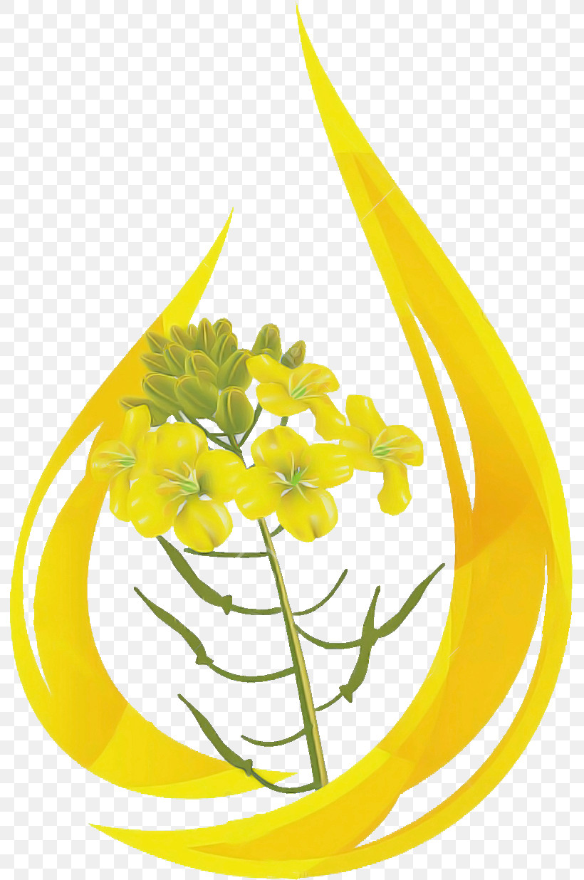 Yellow Flower Plant Cut Flowers Ylang-ylang, PNG, 791x1236px, Yellow, Cut Flowers, Flower, Herbaceous Plant, Plant Download Free