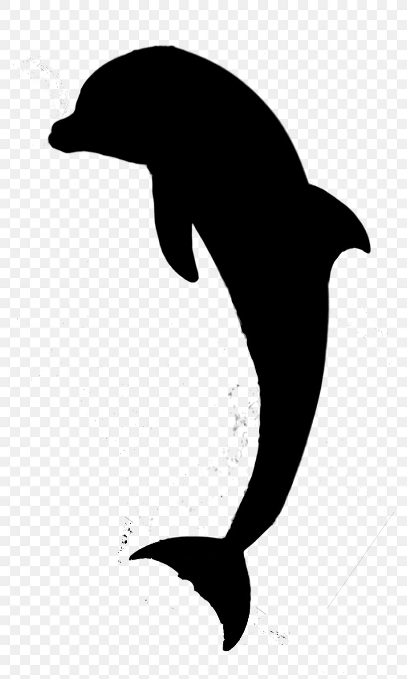 Dolphin Bird Fauna Beak Silhouette, PNG, 768x1368px, Dolphin, Beak, Bird, Bottlenose Dolphin, Cetacea Download Free