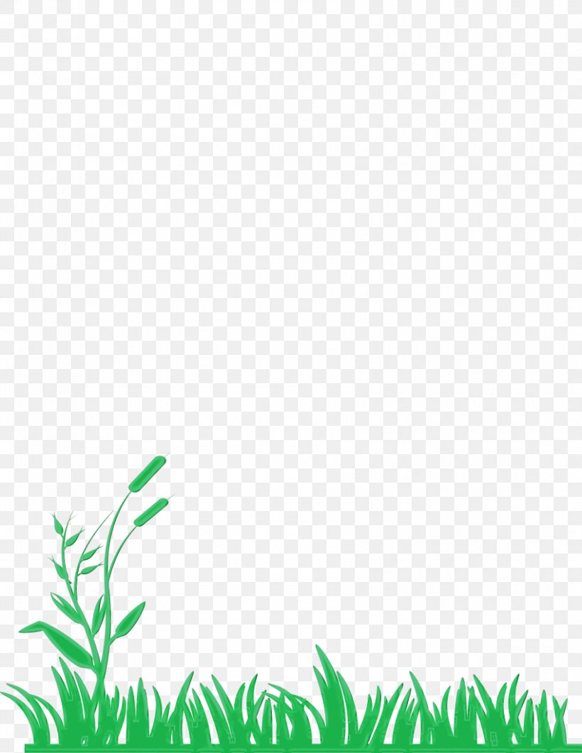 Green Leaf Vegetation Grass Plant, PNG, 850x1100px, Watercolor, Grass, Green, Leaf, Paint Download Free