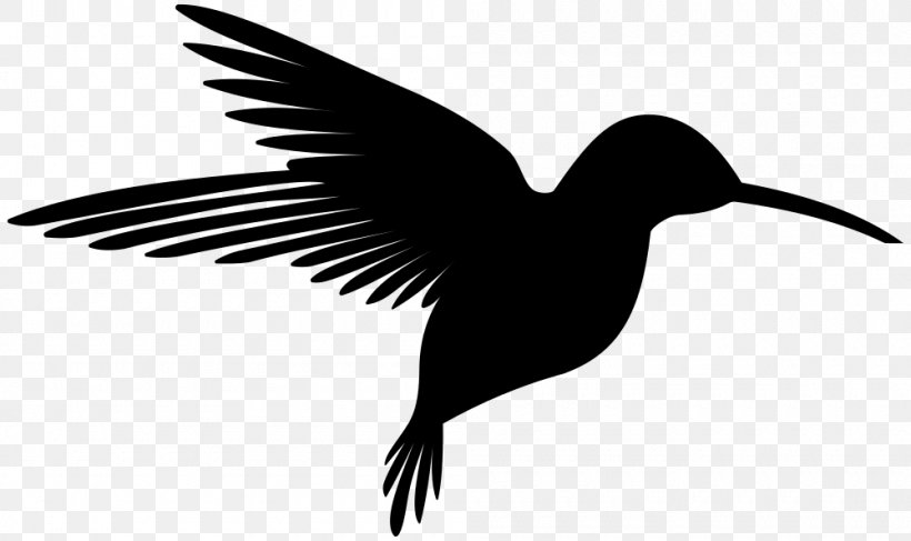 Hummingbird Silhouette Clip Art, PNG, 1000x594px, Hummingbird, Beak, Bird, Black And White, Ducks Geese And Swans Download Free