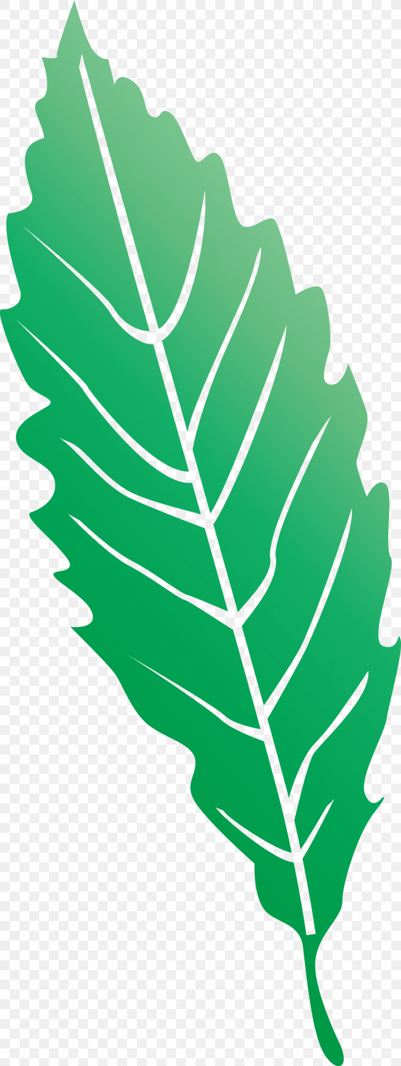 Leaf, PNG, 1130x2999px, Leaf, Biology, Flooring, Geometry, Green Download Free