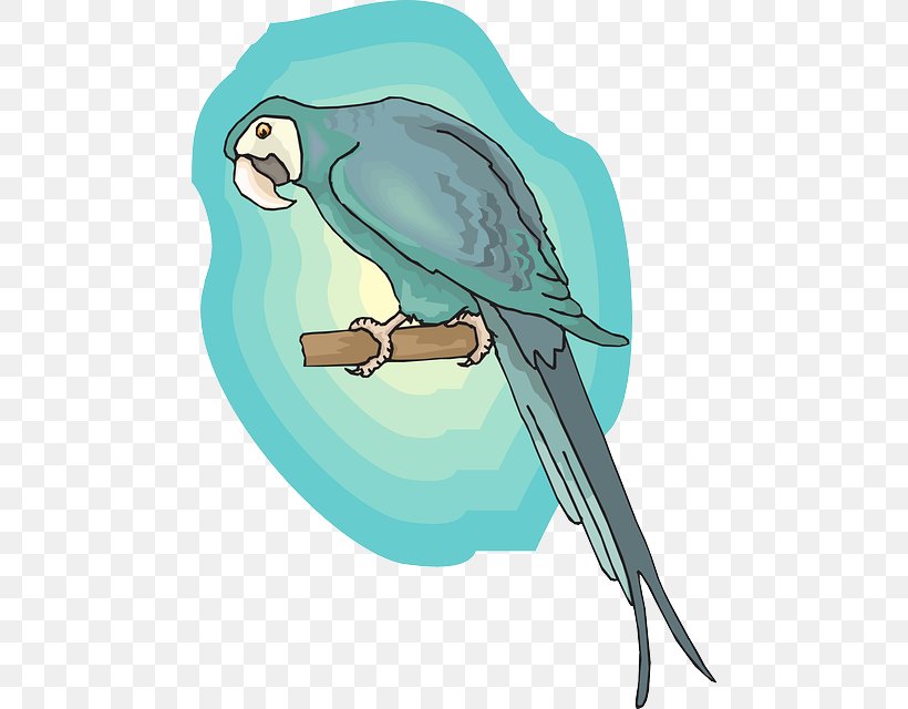 Macaw Lovebird Parrot Feather, PNG, 474x640px, Macaw, Artwork, Beak, Bird, Bird Of Prey Download Free