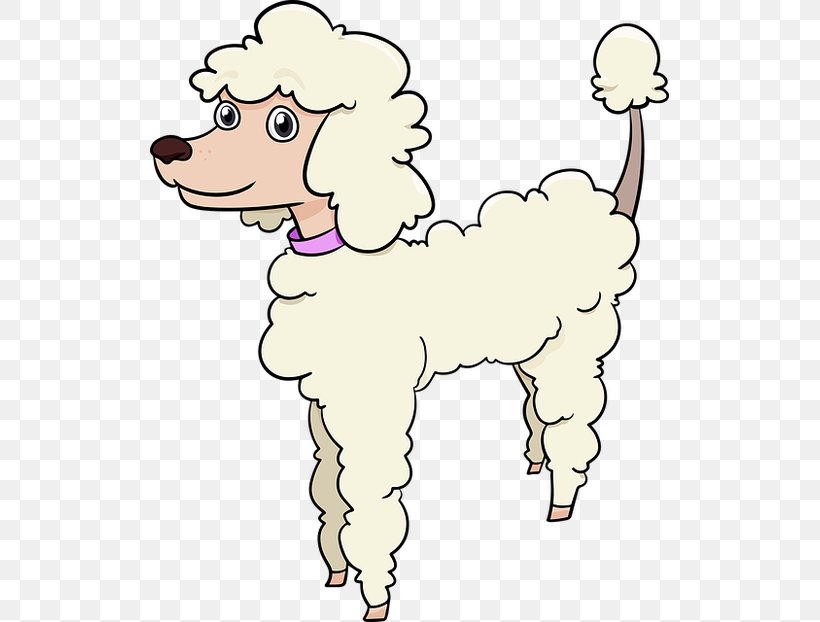 Standard Miniature And Toy Poodles Coloring Book Puppy, PNG, 519x622px, Poodle, American Kennel Club, Animal Figure, Carnivoran, Child Download Free