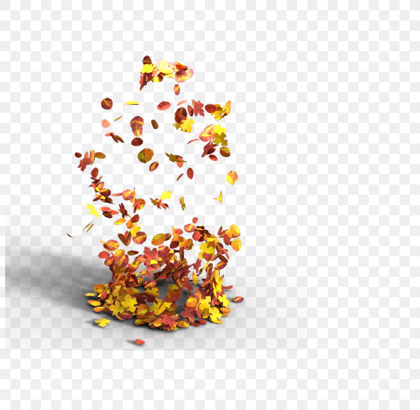 Autumn Leaf Computer File, PNG, 800x800px, Autumn, Autumn Leaf Color, Leaf, Love, Petal Download Free